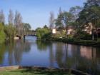Harbor Bay Lagoon View