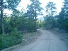 Locke Mountain
