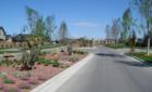 The common areas and central drive in Saguaro Canyon are done in a Southwestern theme, complete with cactus 