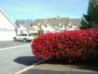 Autumn at Crossgates. 