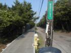Fire Island Boulevard at Nautilus Walk, Fire Island Pines