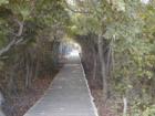 The Boards, Fire Island Pines (No cars on the Island)