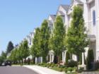 Amhurst Commons