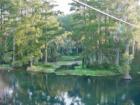 Rainbow River Dunnellon FL