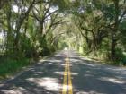 SW 38th Ave Ocala FL