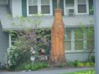 The Coca Cola tree. The history of this tree carved into the shape of a Coca Cola bottle is unknown. It is located on Ethel Street just off Colonial Road to the rear of the Colonial Park Mall (This is the street to the public library)
