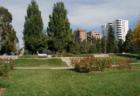 Cheesman Park surrounded by luxury high-rise condos
