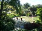 Lily Pond in Descanso Gardens on a beautiful May day