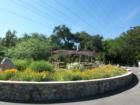 Descanso Gardens
