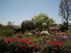 Central Courtyard - Mission San Juan Capistrano