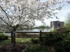 Burrell Park Spring Photo in Springfield Missouri