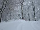 Winter on the bluffs.