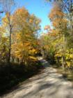 Autumn brings out great colors around the bluffs of Ferryville. Ferryvill, though on the river, has a many forests along the bluffs where many locals live.