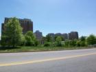 View of growing Reston Towncenter skyline.