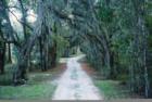Driveway in Brooskville, Florida