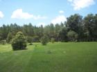 Picture of a Spring Lake, Fl. Perfect Pasture!