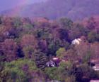ASHEVILLE, N.C. The Spring Rainbow of the Valley Neighbors.