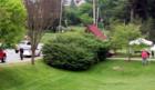 ASHEVILLE, N.C. Saturday in Spring. Neighbors and a Bake Sale.