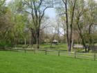 Toohey Park Woods