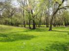 Amberwood Estates Wooded Property
