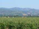 Napa - Private Members Only