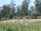 Behind the Private Reserve