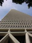 The Transamerica Pyramid is the tallest (853 ft.) and most recognizable skyscraper in the San Francisco skyline.