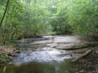 Little Creek along the Raven Rock Loop Trail in Raven Rock State park in Harnett County, NC.
