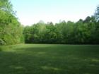 Open field between group camp sites 1,2, and 3 at Raven Rock State Park in Harnett County, NC.  These sites are near the Cape Fear River and are hike-in only.  The sites are primitive with few amenities.