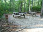 Picnic tables in the picnic area in Raven Rock State Park in Harnett County, NC.  There are many tables  in this area scattered amongst the trees.  These two tables are handicap accessible.