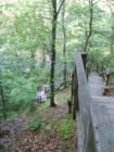 These are the stairs leading down to the base of the cliffs in Raven Rock State Park in Harnett County, NC.  It is a long way down!