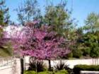 The grounds of the Laguna Hills Community and Recreation area is beautifully landscaped and maintained.  It's a safe, fun, and aesthetically pleasing place to spend the day.