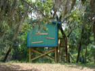 Treehouse overlooking the Manatee River