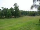 Part of the 58% of green space that was preserved