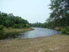 Manatee River views within the community