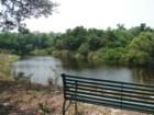Views of the Manatee River