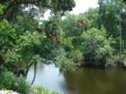 Manatee River views from the River House