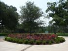 Rose garden in front of the River house