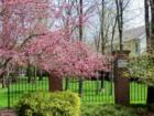 Home owners take pride in their homes with pretty landscaping
