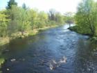 The Snake River, from the County Road 19 bridge, east of Highway 65.