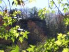 Picture from the river of fantasic Bluff