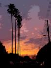 Solarized sunset from outside our previous residence in South Berkeley.  I loved looking at those huge palm trees across the street.