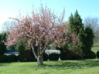 Grounds in Spring at RMA