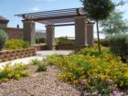 Silverstone Ranch - Clairbrook gazebo area in full bloom