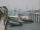 Boats-Miami Yacht Club