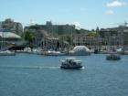 Watertaxi - False Creek