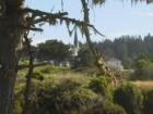 Mendocino - with church steeple in background