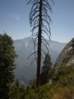 Kings Canyon