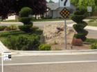 Pheasant Point - Entrance View