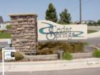 Cedar Springs - Sign